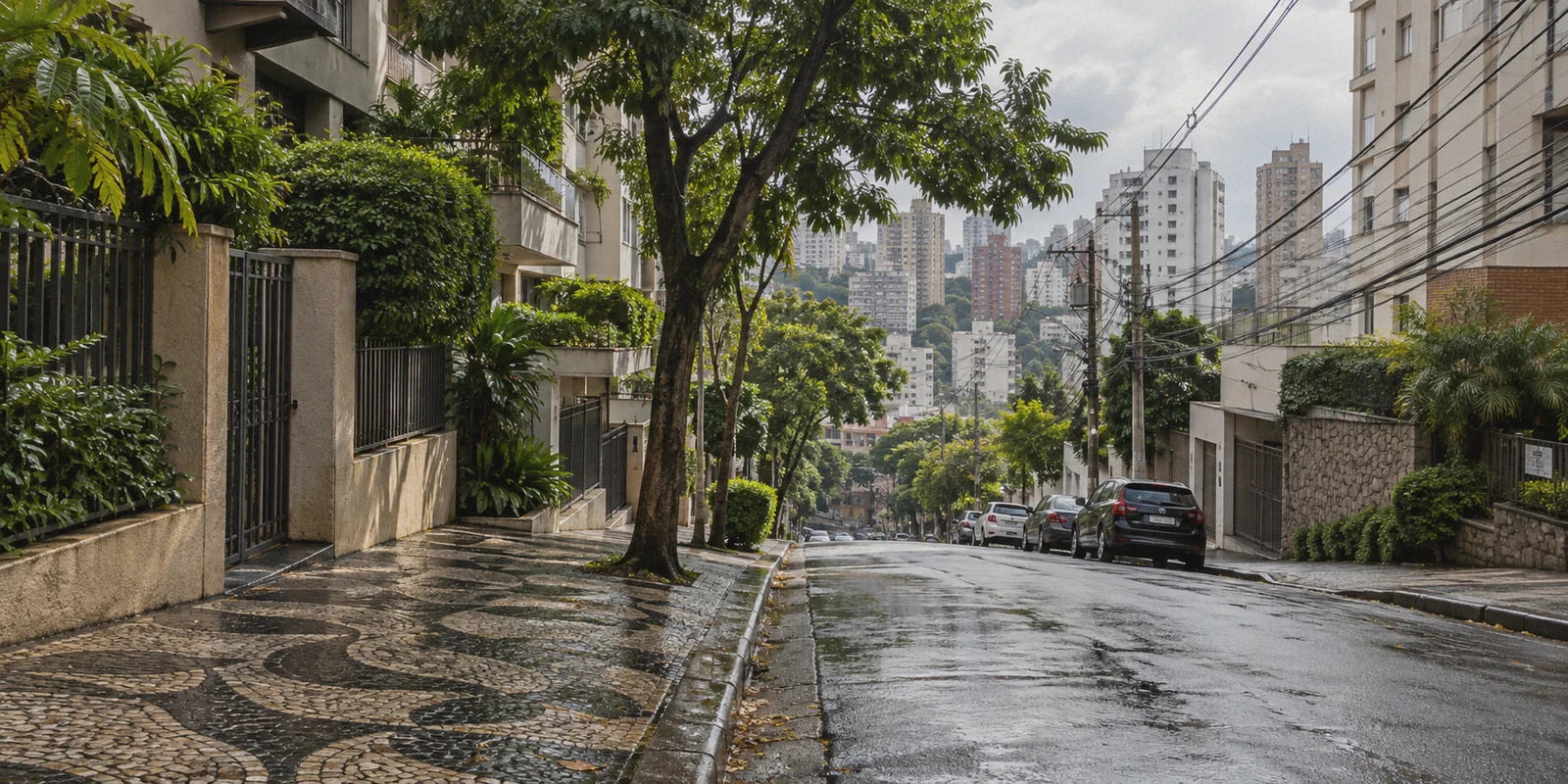 A São Paulo neighbourhood after rain