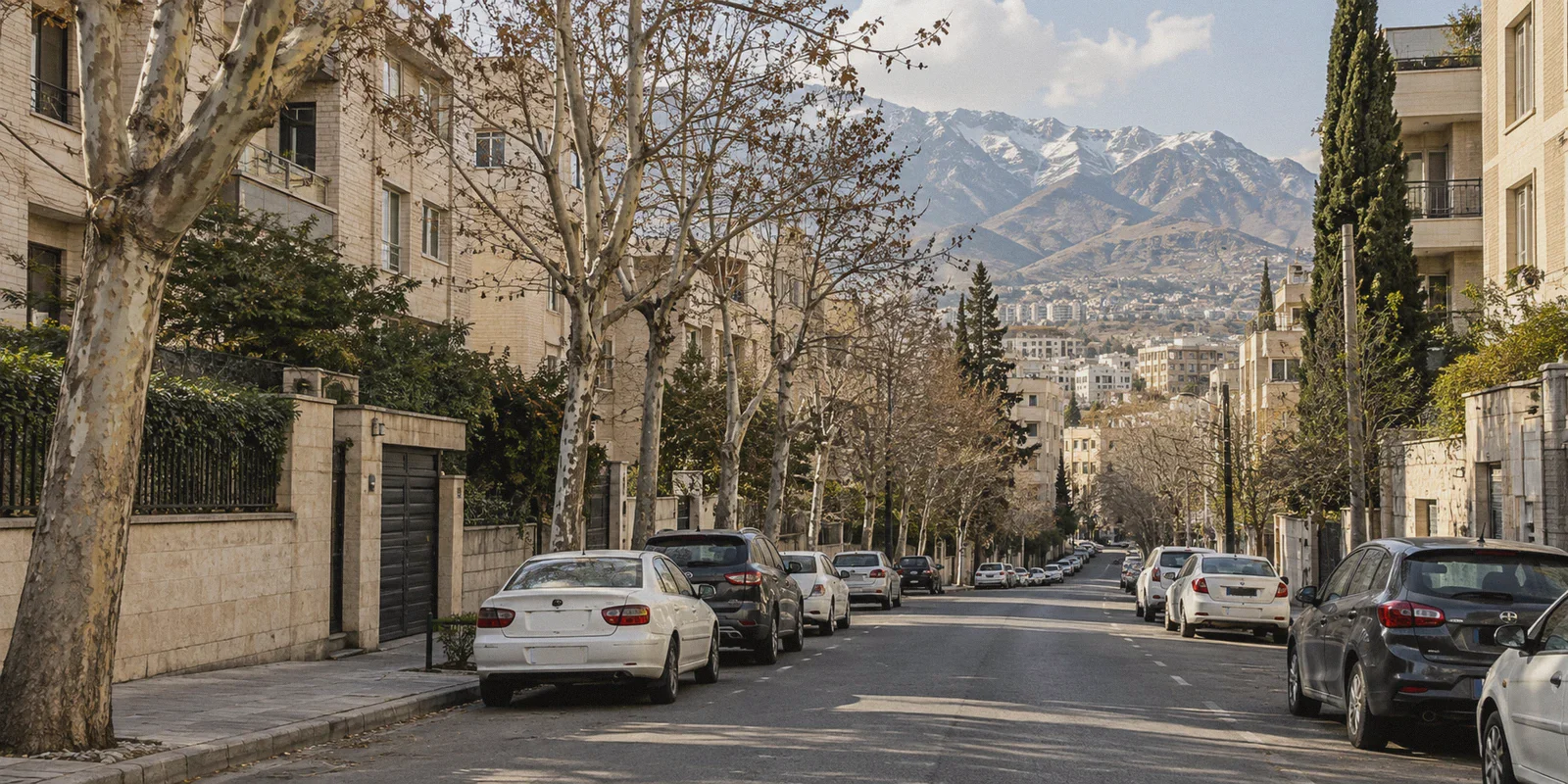 Everyday Tehran residential street with plane trees.