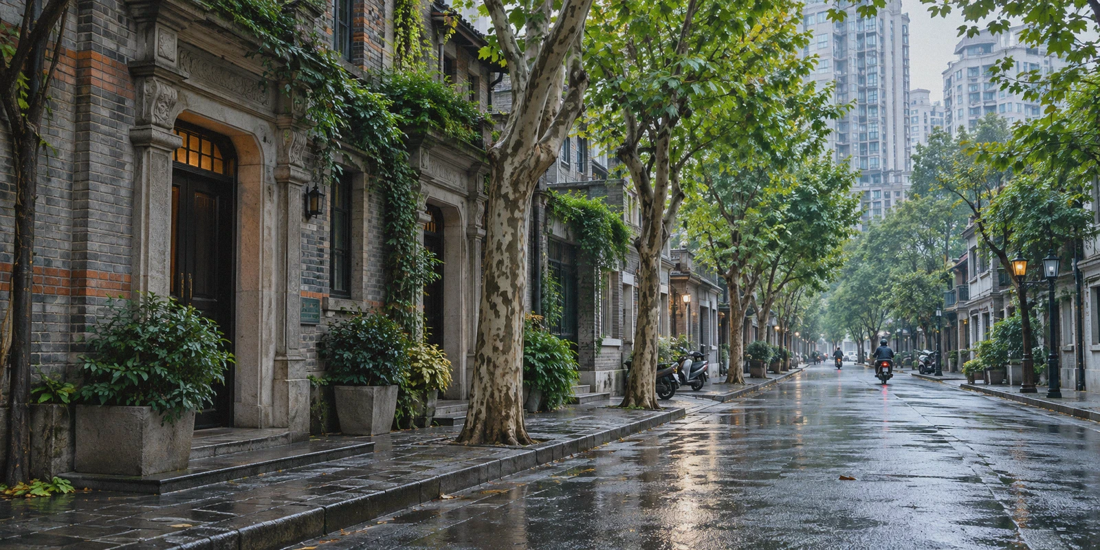 Tree-lined Shanghai street after rain.
