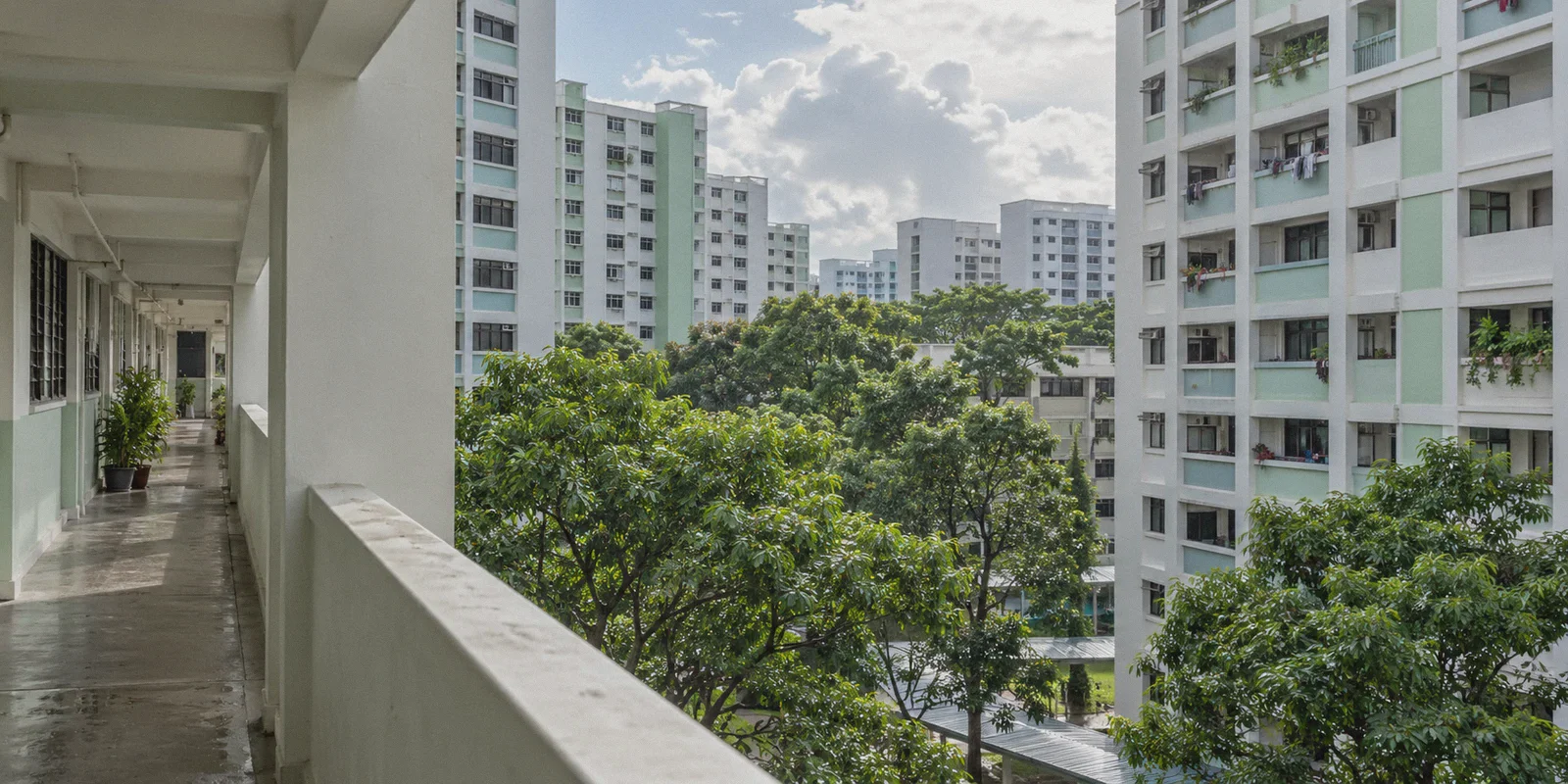 HDB residential blocks and rain trees in Singapore.